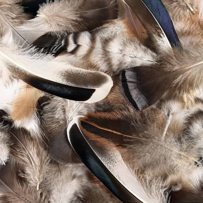 MAOFENG 120pcs 7 Styles Natural Bulk Feathers Assorted Mixed Feathers for DIY Crafts Dream Catcher Wedding Hair Hats Decoration,Guinea Fowl Feathers - Image 5